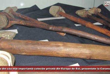 Expoziție de neratat! Arme din cea mai importantă colecție privată din Europa de Est, prezentate la Caransebeș!