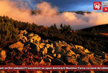 „Vrem să ocrotim natura, dar nu să fim sălbatici”! Localnicii se opun declarării Munților Țarcu ca zonă de sălbăticie!
