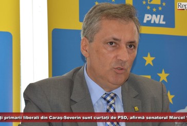 Toți primarii liberali din Caraș-Severin sunt curtați de PSD, afirmă senatorul Marcel Vela! 