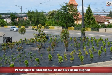 Panseluțele lui Stepanescu dispar din peisajul Reșiței!