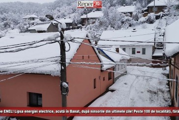 Tunurile pe ENEL! Lipsa energiei electrice, acută în Banat, după ninsorile din ultimele zile! Peste 100 de localități, fără curent!