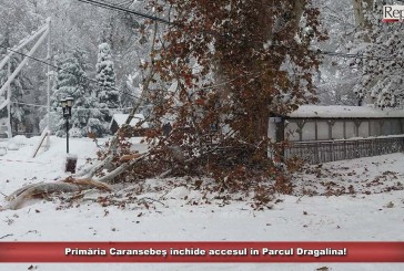 Primăria Caransebeș închide accesul în Parcul Dragalina!