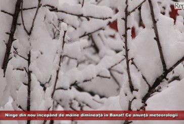Ninge din nou începând de mâine dimineață în Banat! Ce anunță meteorologii