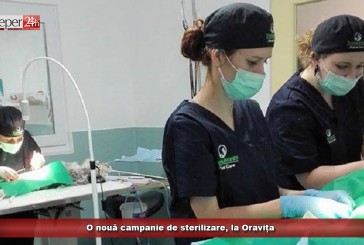 O nouă campanie de sterilizare, la Oravița