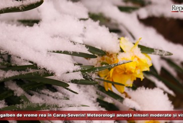 Cod galben de vreme rea în județul Caraș-Severin! Meteorologii anunță ninsori moderate și viscol!