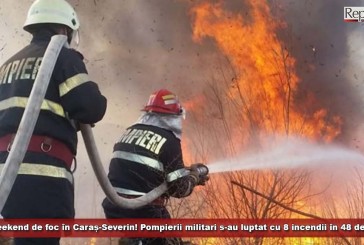 Weekend de foc în Caraș-Severin! Pompierii militari s-au luptat cu 8 incendii în 48 de ore!