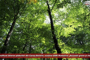 S-a intensificat tăierea pădurilor sănătoase din Caraș-Severin, susține USR! Romsilva: „Acuzații grave și nefondate”