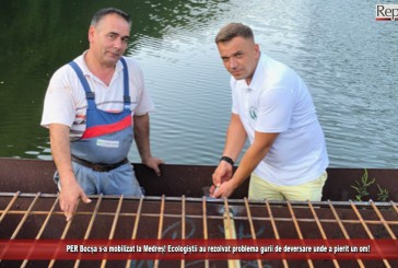PER Bocșa s-a mobilizat la Medreș. Ecologiștii au rezolvat problema gurii de deversare unde a pierit un om