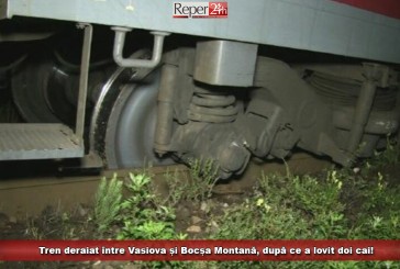 Tren deraiat între Vasiova și Bocșa Montană după ce a lovit doi cai!