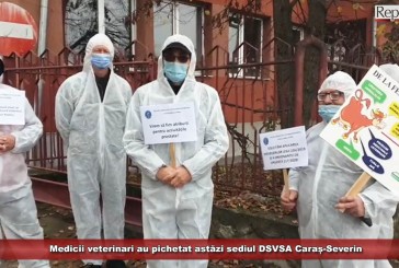 Medicii veterinari au pichetat astăzi sediul DSVSA Caraș-Severin