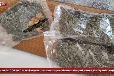 Acțiune DIICOT în Caraș-Severin: trei tineri care vindeau droguri aduse din Spania, reținuți