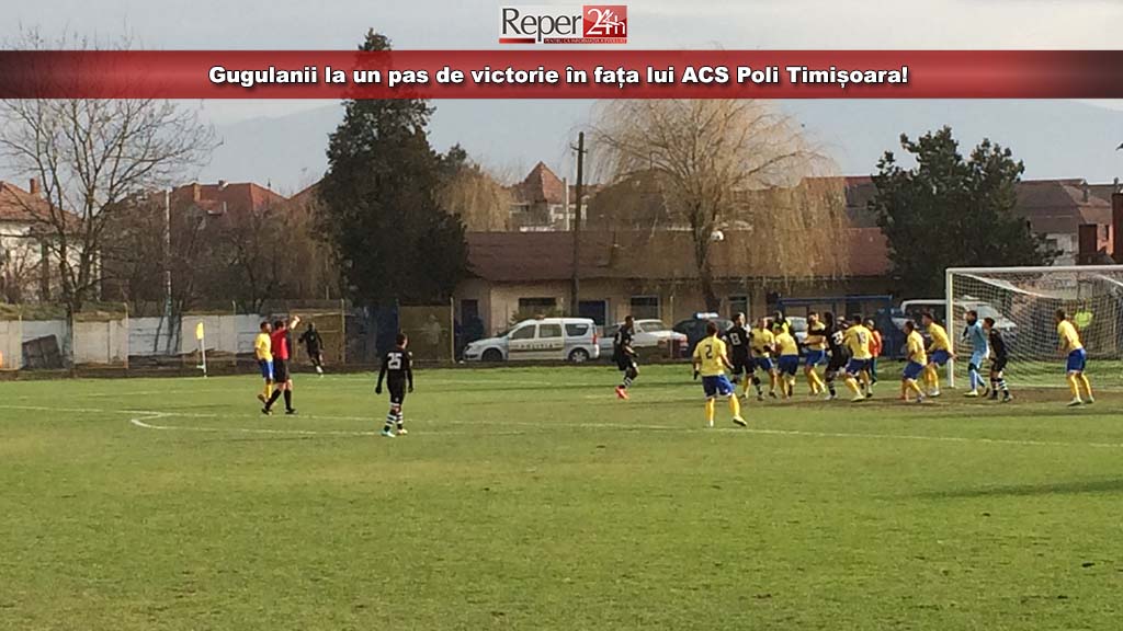  ACS Poli Timișoara