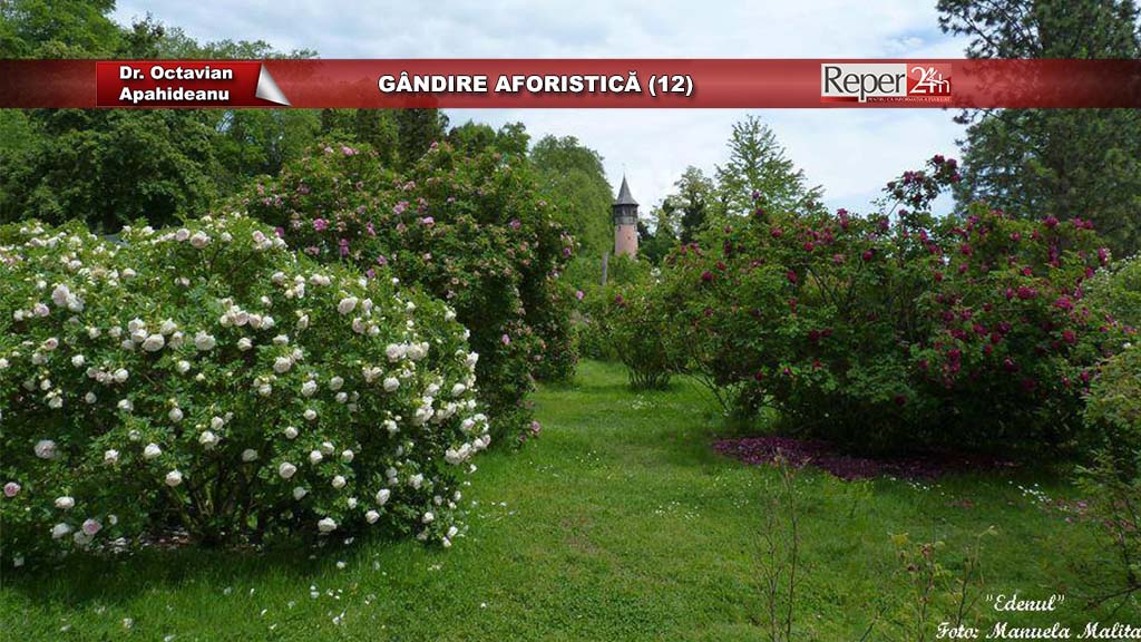 Gandire aforistica 12