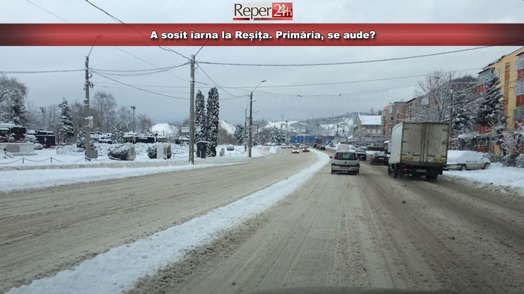 iarna