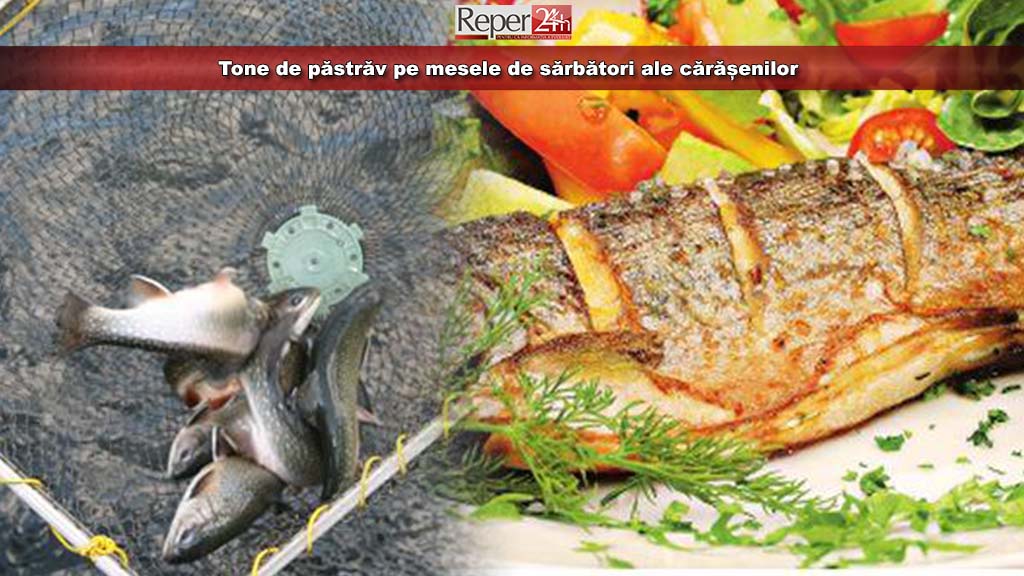 păstrăv