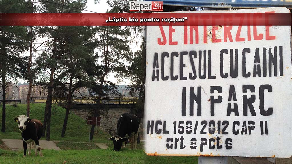parcurile