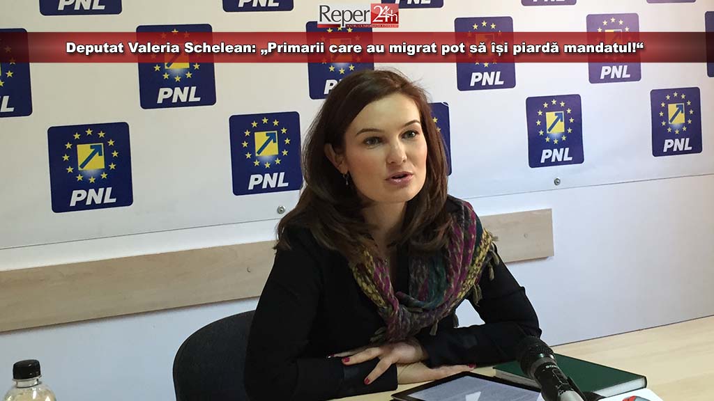 Deputat Valeria Schelean