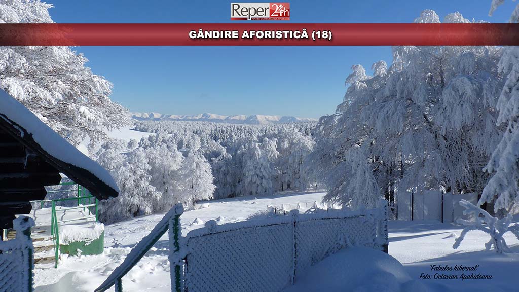 GÂNDIRE AFORISTICĂ (18)