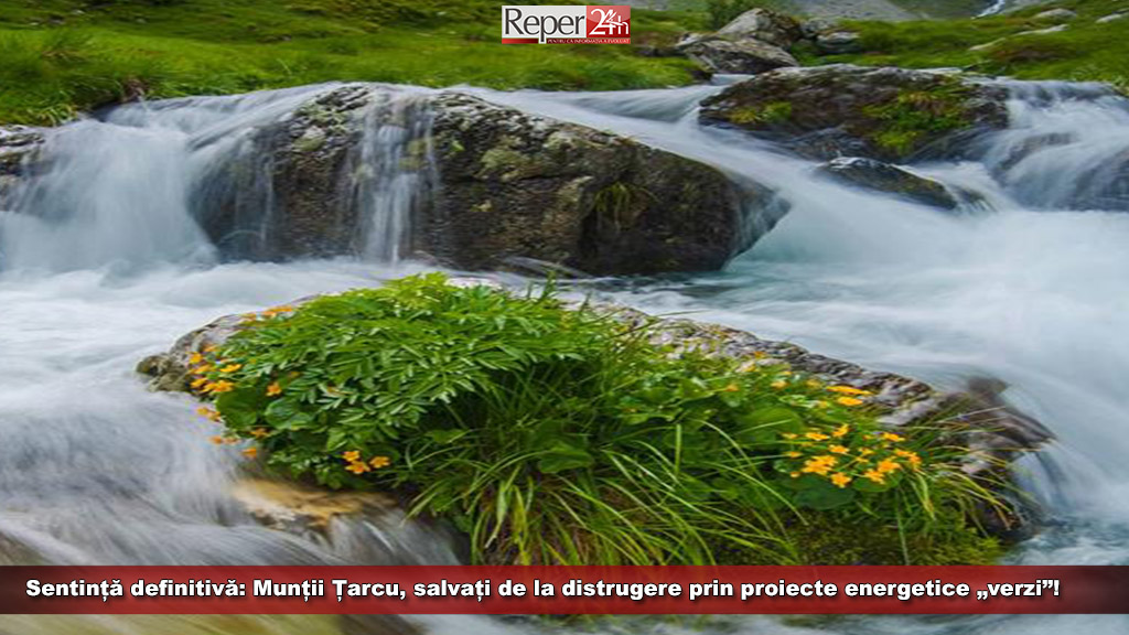 tarcu
