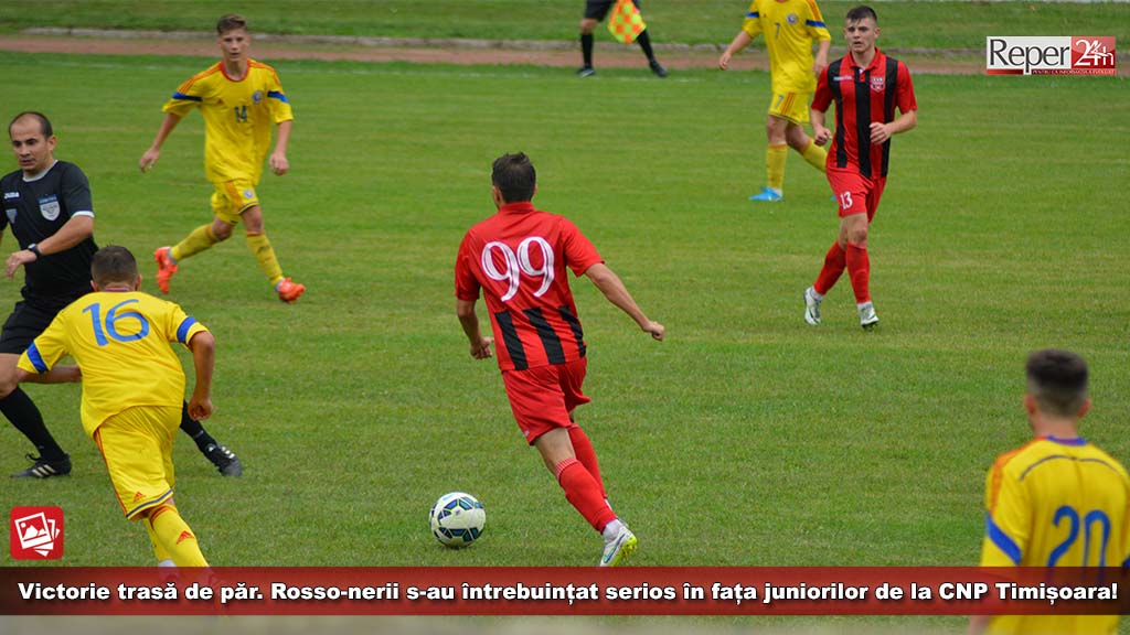 csm-cnp-timisoara