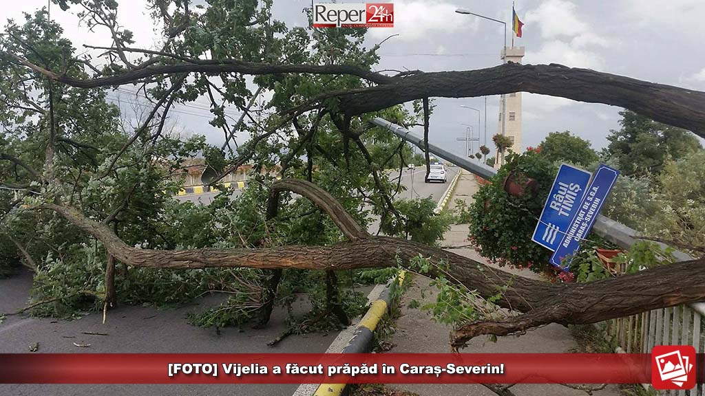 vijelie caras severin