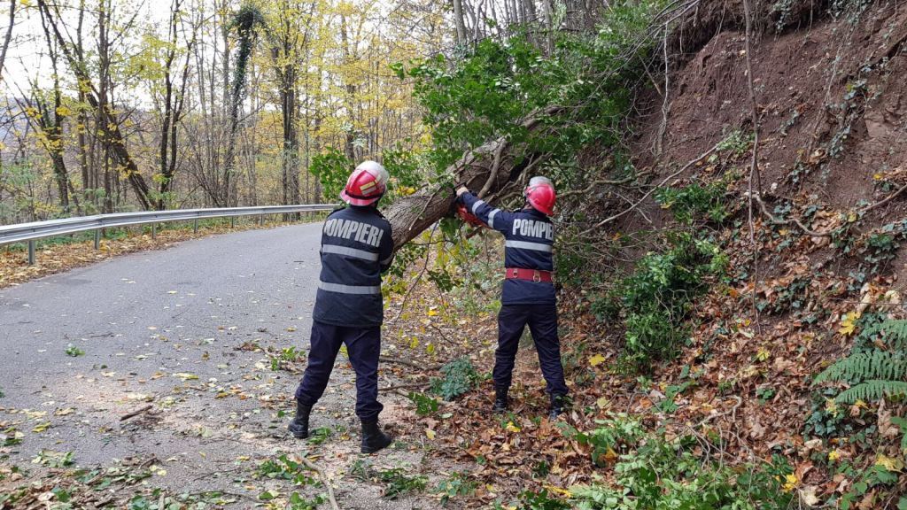 WhatsApp Image 2017-11-08 at 09.23.14