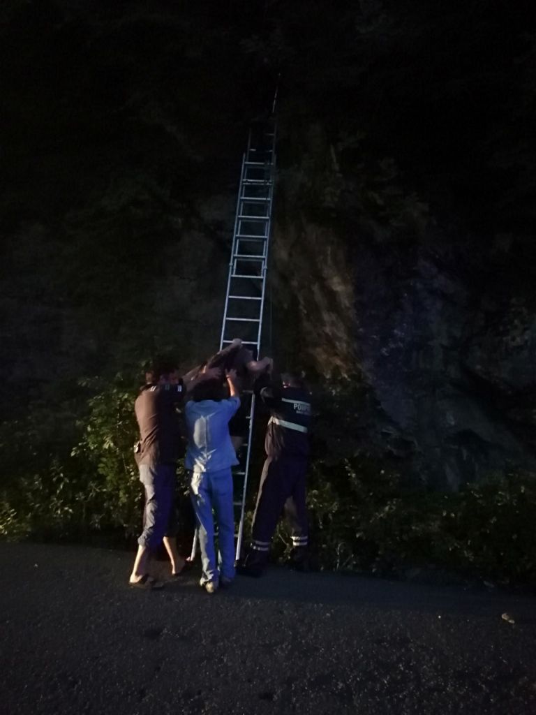 WhatsApp Image 2018-07-18 at 09.19.47 (1)