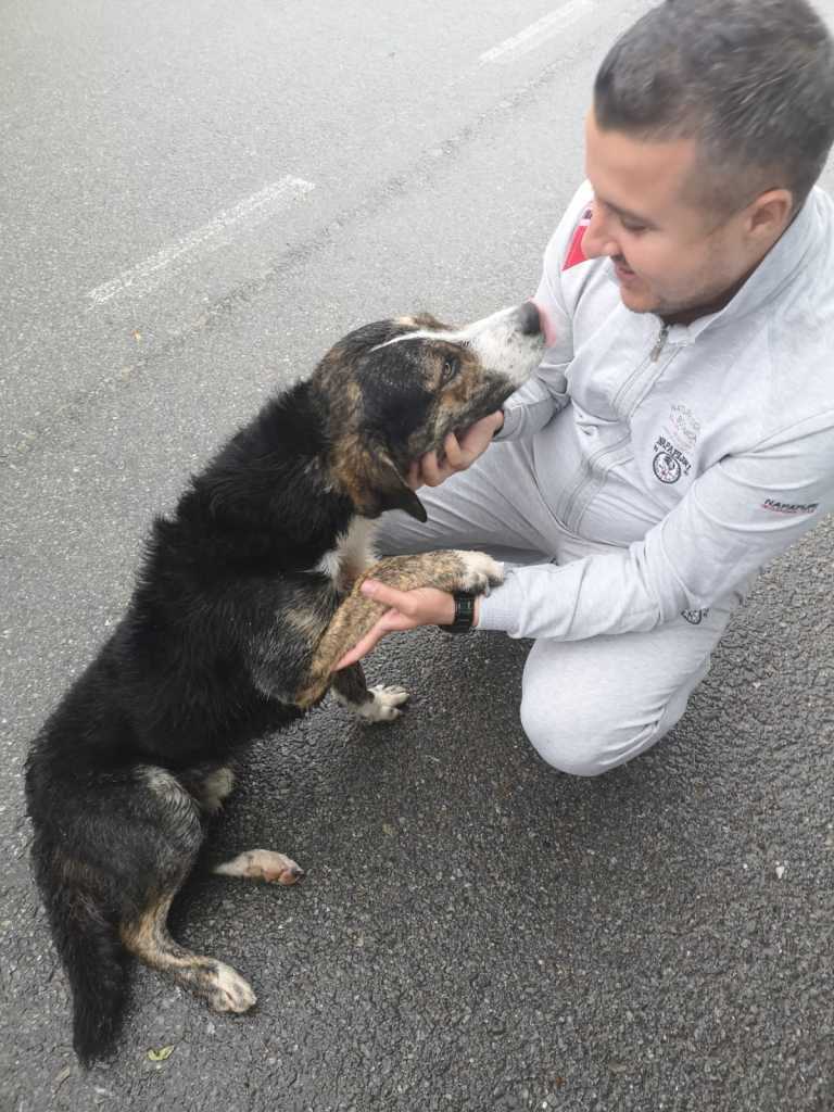 WhatsApp Image 2018-07-19 at 14.50.26