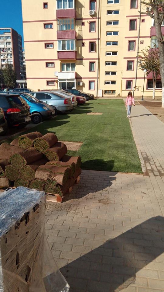 45726009_330797601080777_6287921491023495168_n