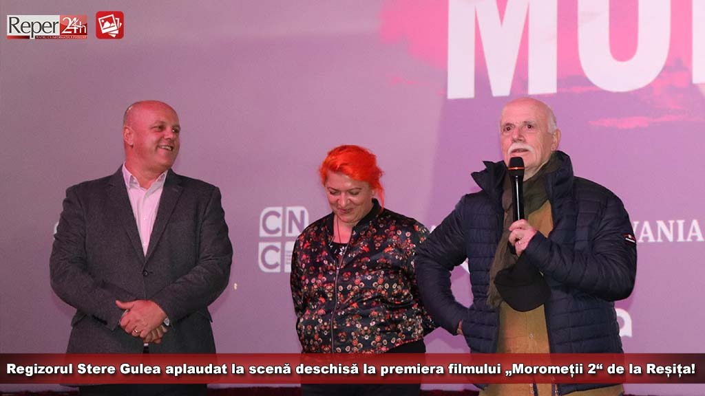 modelmic