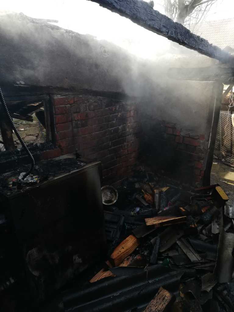 WhatsApp Image 2019-03-01 at 11.04.08