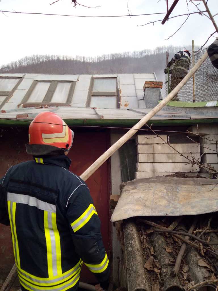 WhatsApp Image 2019-03-07 at 18.42.11