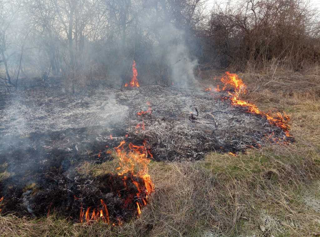 WhatsApp Image 2019-03-07 at 18.44.55