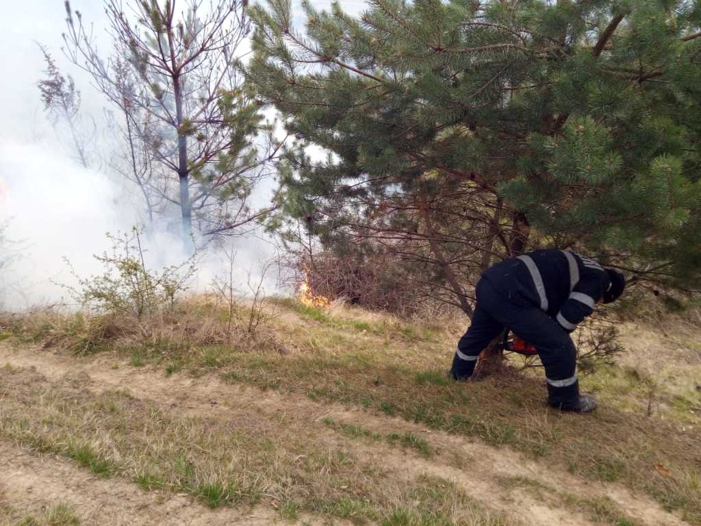 WhatsApp Image 2019-04-04 at 12.47.58 (1)