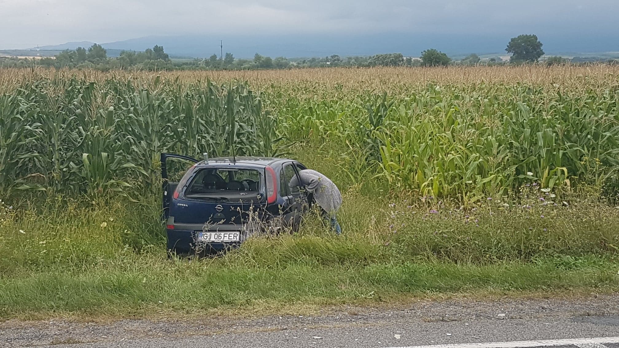 68656687_2334273546609902_8226181639764443136_n