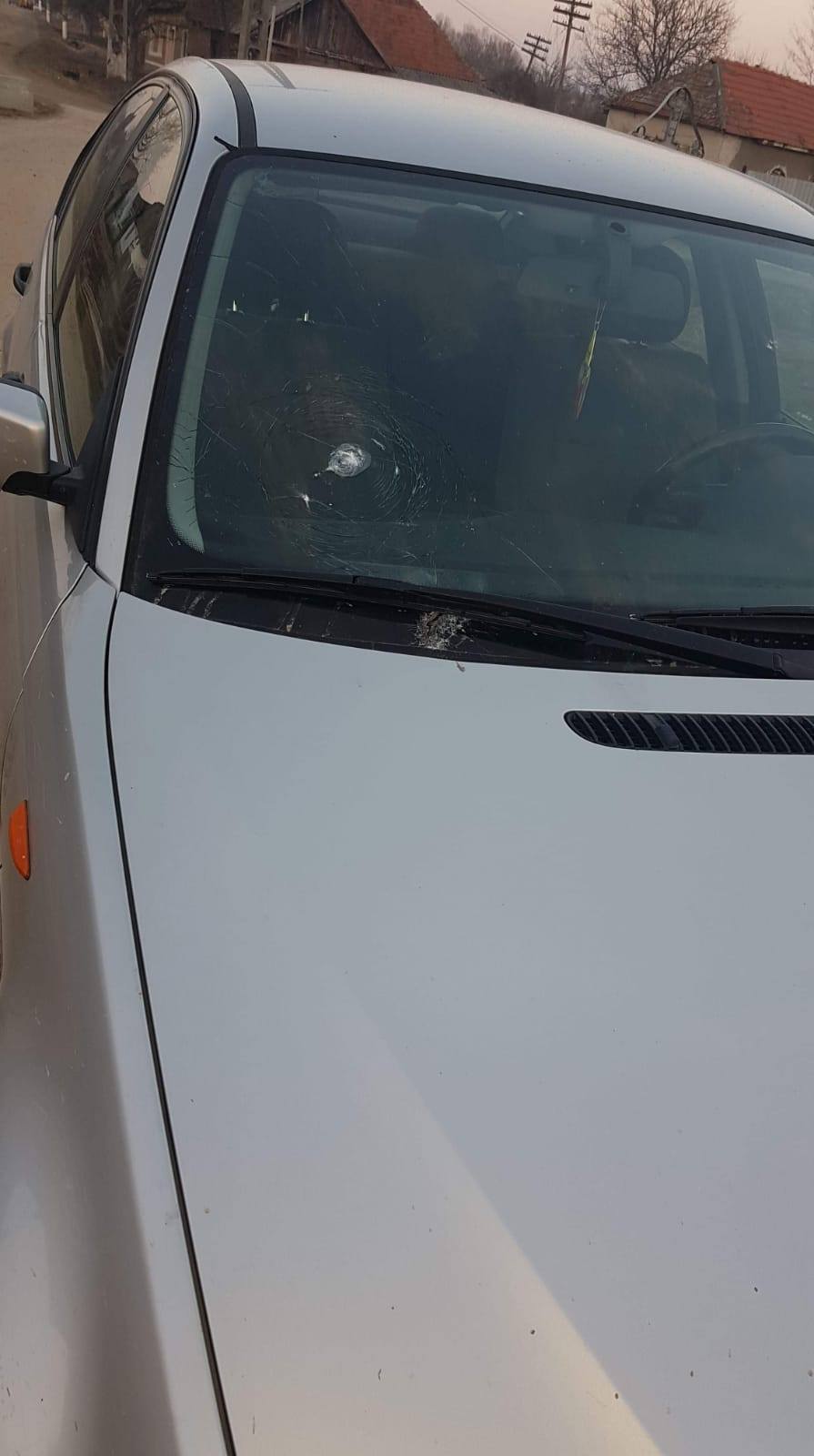 68707500_1317881411716539_3335844074522411008_n