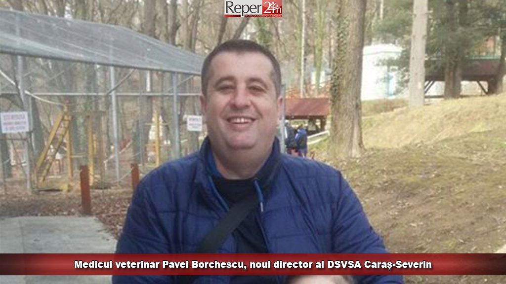 dsvsa