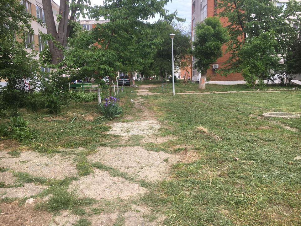 95506167_10217570562395905_4855274139432255488_o