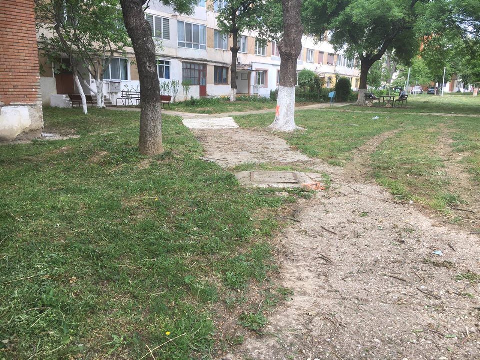 95770519_10217570562635911_9115608919396319232_o