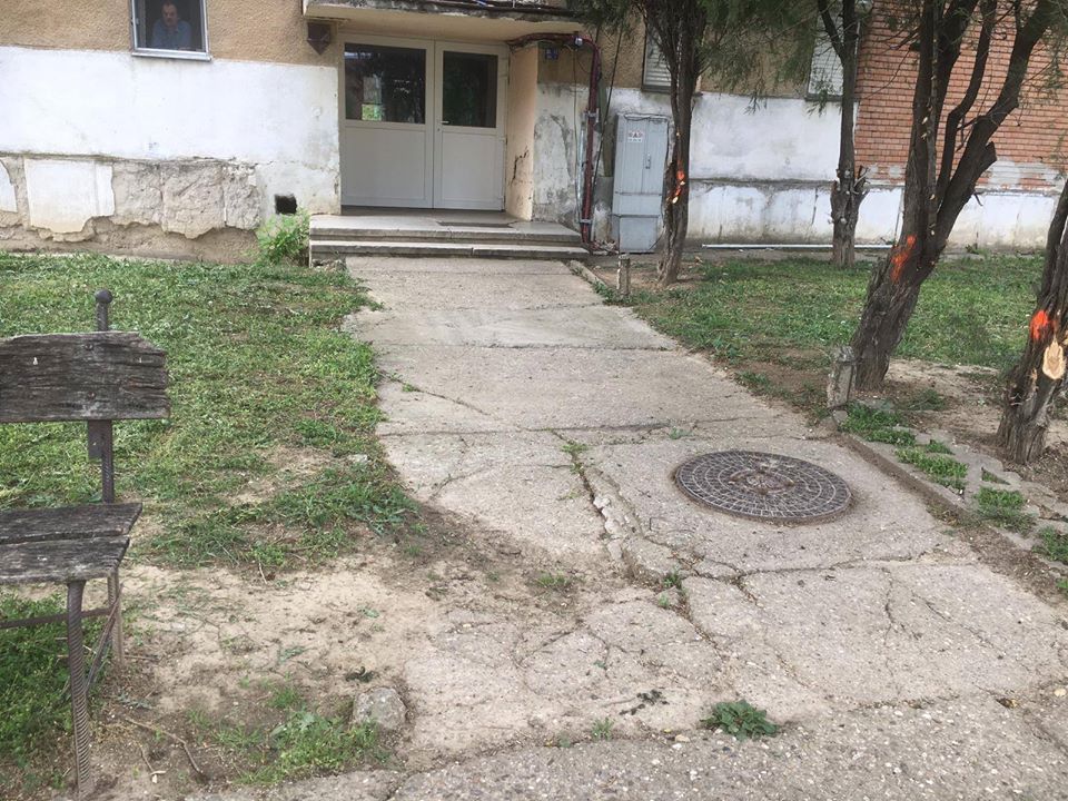 96107916_10217570562715913_1223394315842093056_o