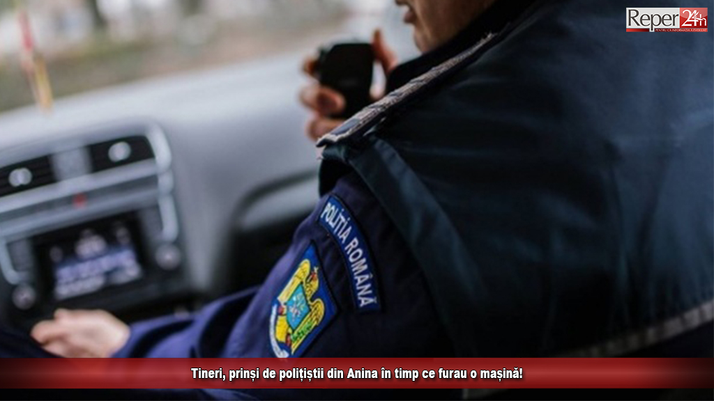 anina