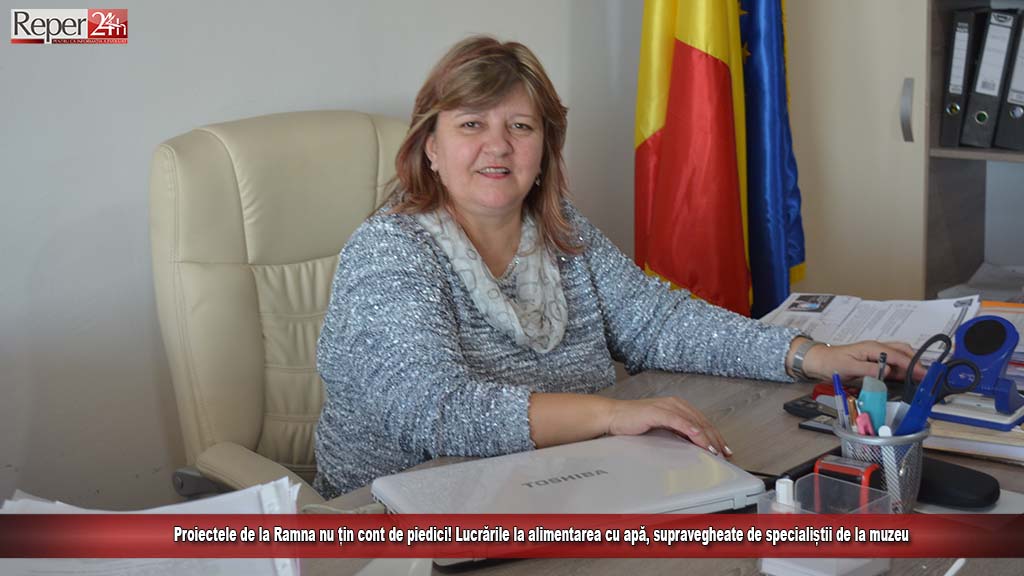 proiecte