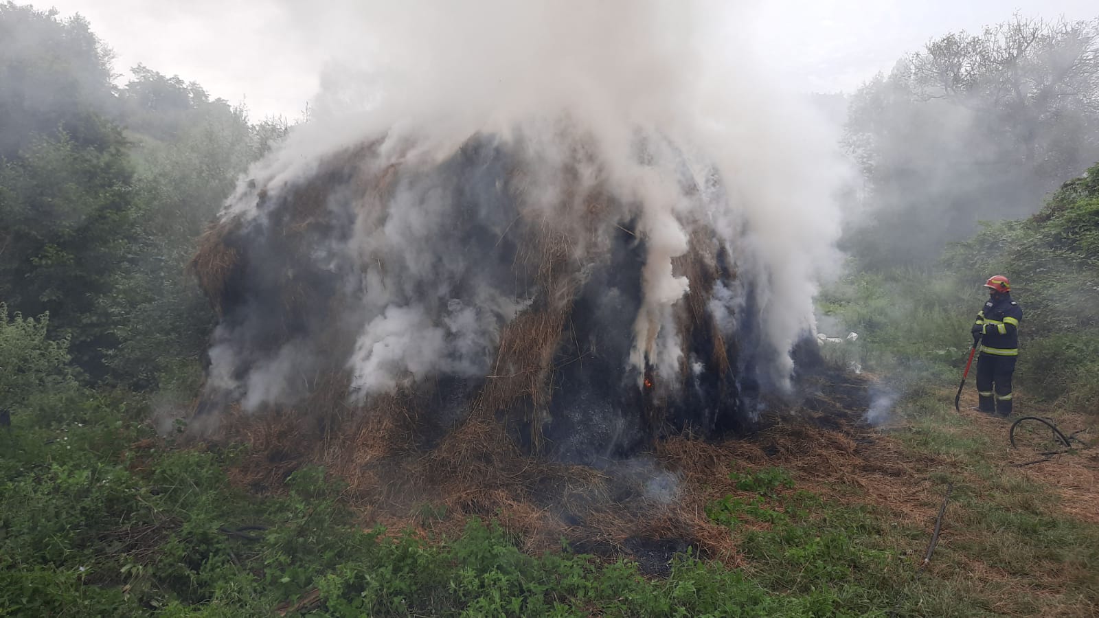 WhatsApp Image 2020-08-07 at 13.02.07 (1)