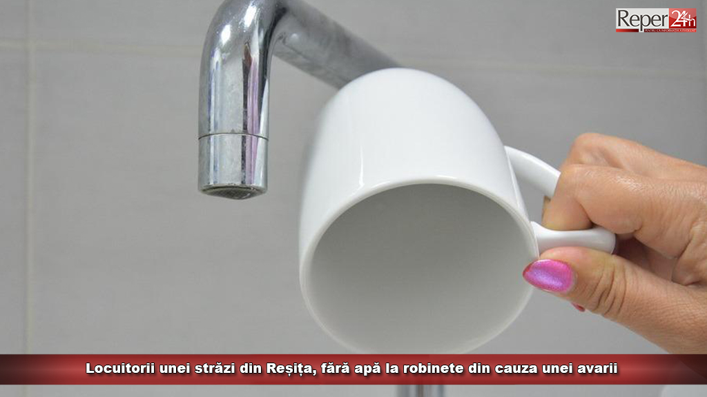 apa