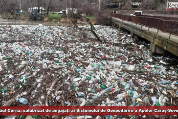 Râul Cerna, salubrizat de angajați ai Sistemului de Gospodărire a Apelor Caraș-Severin