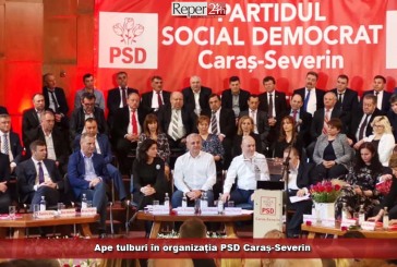 Ape tulburi în organizația PSD Caraș-Severin