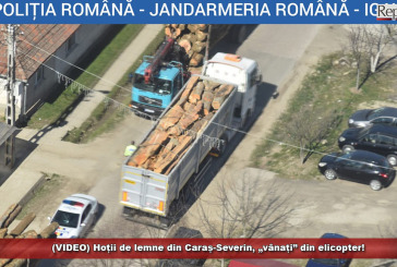 (VIDEO) Hoții de lemne din Caraș-Severin, „vânați” din elicopter!
