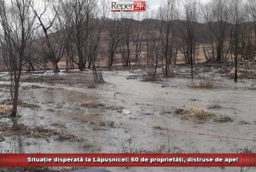 Situație disperată la Lăpușnicel: 60 de proprietăți, distruse de ape!
