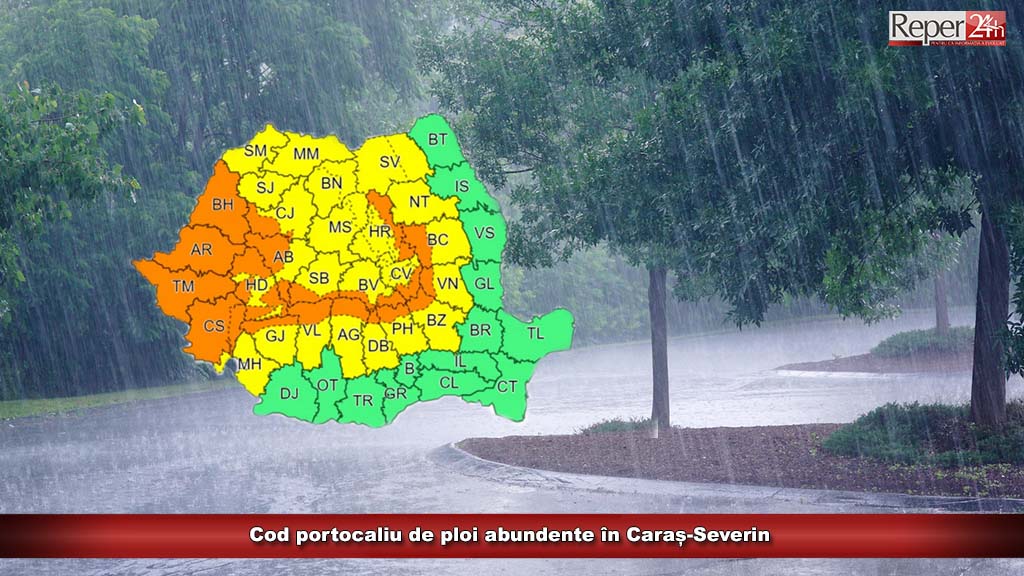 anm