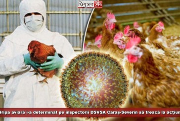 Gripa aviară i-a determinat pe inspectorii DSVSA Caraș-Severin să treacă la acțiune